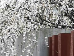 -静安雕塑公园