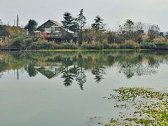 -桤木河湿地公园