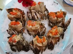 -渔娘渔家丹东海鲜(东直门店)