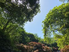 -岳麓山风景名胜区