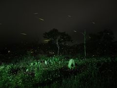 -西涌国际滨海旅游区