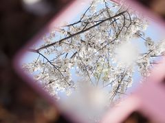 -永乐路-路侧停车场