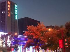 -鹏欣水游城