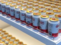 -谢列梅捷沃国际机场