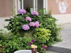 -Beans Solo豆号咖啡(百家湖花园店)