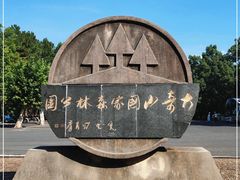 -大奇山国家森林公园