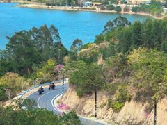 -罗浮山嘉宝田森林温泉度假酒店