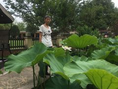 -洪湖家庭农场·团建·露营·会议