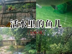 -南昌动物园