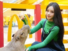 -麦当劳(新世纪环球中心店)