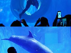 -多彩贵州城极地海洋世界