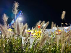 -黄五箱进口网红仓(金沙滩啤酒城店)