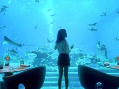 -亚特兰蒂斯•OSSIANO奥西亚诺海底餐厅