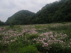 -幕燕滨江·长江观音景区