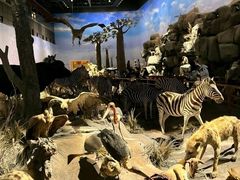 -国家自然博物馆