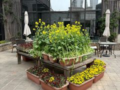 -瓦库茶馆17号(海汇港店)