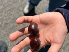 -龙云山风景区-鹿皮关长城