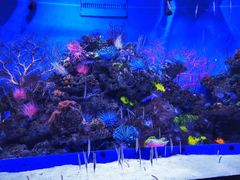 -成都浩海立方海洋公园