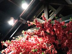 -田婆婆的菜(海口友谊阳光城店)