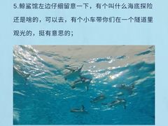 -珠海长隆海洋王国