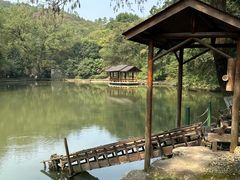 -善卷洞风景区