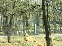 -秦皇岛野生动物园