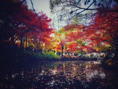 -秋霞圃
