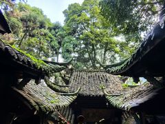 -青城山