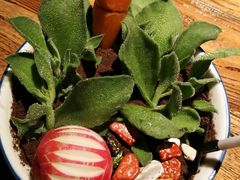 -嘉禾·悦享餐厅(八方汇店)