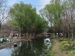 -长田漾湿地公园