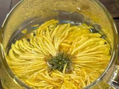 -殊德医馆