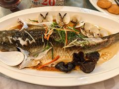 -鹭园酒家·四十年老字号