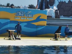 -秦皇岛乐岛海洋王国