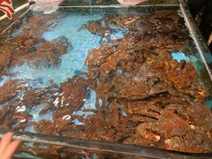 -79号渔船海鲜饭店(宝安店)