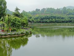 -大屏嶂森林公园
