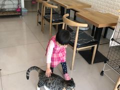 大堂-平行世界·猫咖(首经贸店)