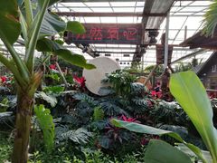 -呀路古热带植物园