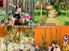 -正佳雨林生态植物园