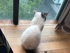 -俏湘私房菜(国贸店)