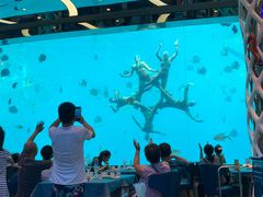 -瑞德姆美人鱼海底演艺主题餐厅(亚龙湾店)