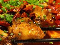 -新概念来凤鱼(璧山店)