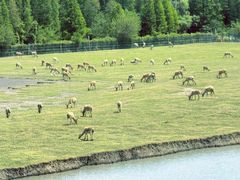 -溱湖国家湿地公园