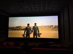 -华美国际影城(旧宫永辉店)