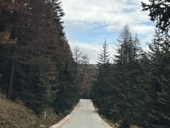 -芦芽山旅游度假区