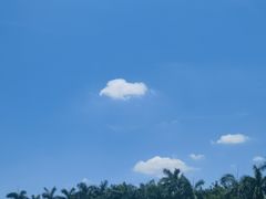 -白鹭洲公园