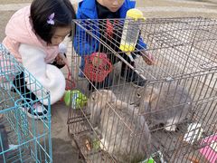 -前小桔亲子创意农场·草莓采摘·露营烧烤