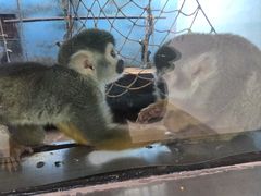 -青藏高原野生动物园