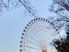 -万泉公园