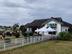 -莲花岛景区