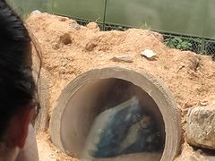 -上海野生动物园